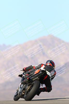 media/Jan-13-2024-SoCal Trackdays (Sat) [[9c032fe5aa]]/Turn 9 Backside (110pm)/